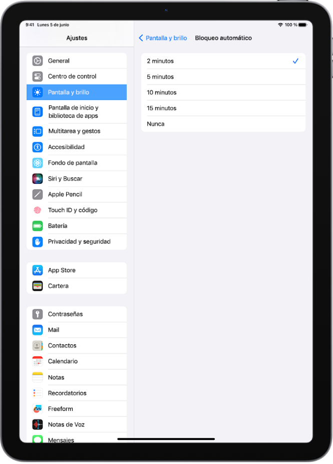 La pantalla “Bloqueo automático”, con ajustes para el tiempo que transcurre hasta que el iPad se bloquea automáticamente.