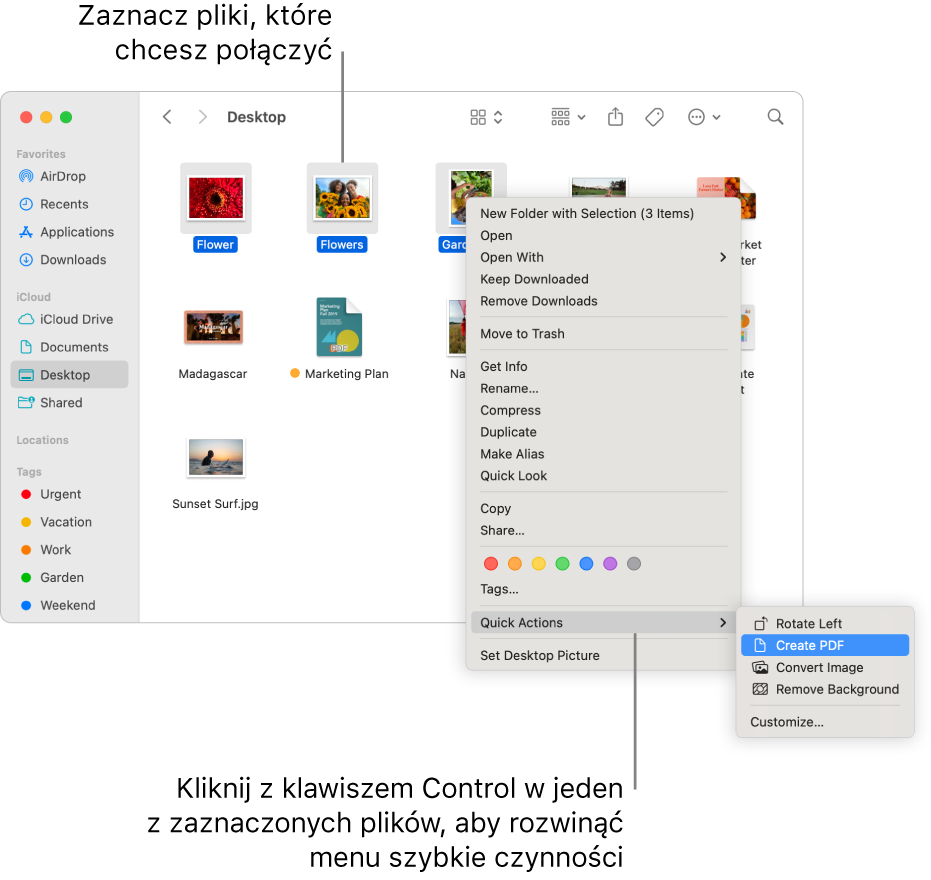 Okno Findera zawierające pliki i foldery. Trzy pliki są zaznaczone, a w menu szybkich czynności wyróżnione jest polecenie Utwórz PDF.