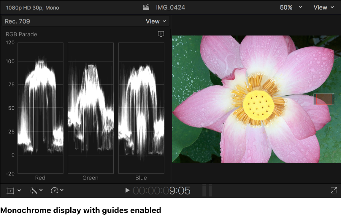 Das monochrome Histogramm „RGB-Parade“ mit Hilfslinien links neben dem Viewer