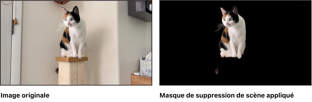 Comparaison côte à côte de l’image originale et de l’image après application du masque de suppression de scène.