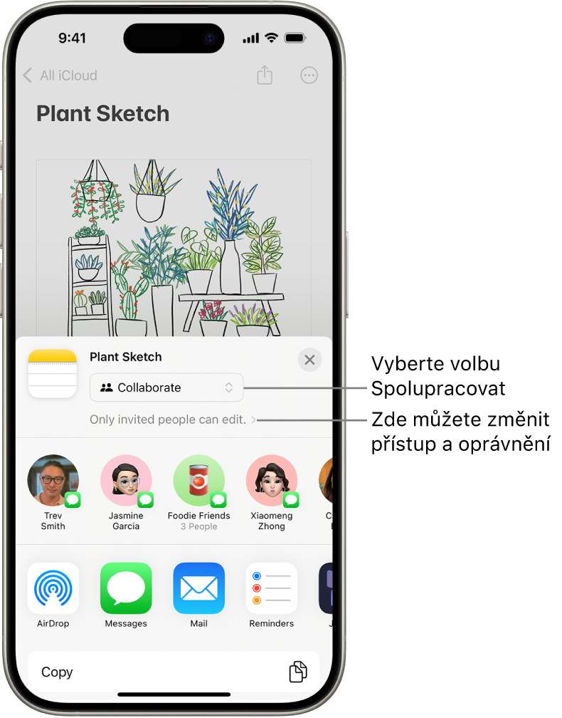 Pozvánka ke spolupráci na kresbě v Poznámkách se zobrazenou volbou sdílení Spolupracovat a s přístupem a oprávněními nastavenými na „Upravovat můžou jen pozvaní“. Pod těmito volbami se nachází řádek se čtyřmi možnými příjemci, mezi nimiž je i skupina. Dolní řádek nabízí různé způsoby sdílení poznámky: AirDrop, Zprávy, Mail a Freeform.