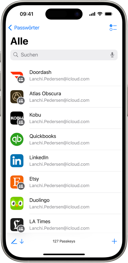 Eine Liste mit allen Accounts mit Passwörtern, die in der App „Passwörter“ gesichert sind.