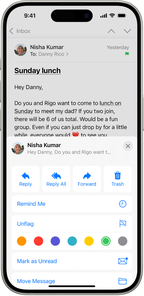 An email showing reply options in the bottom half of the screen, including the Unflag button and color choices for flags.