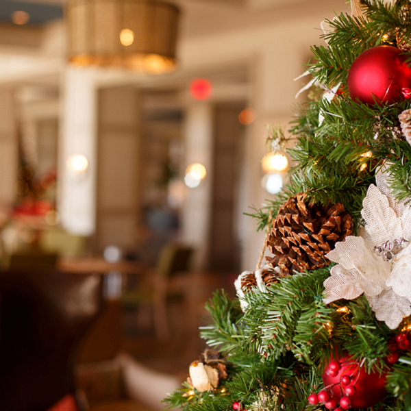 Enjoy our Immerse Yourself In The Holiday Spirit With Our Christmas Tree Décor Package offer