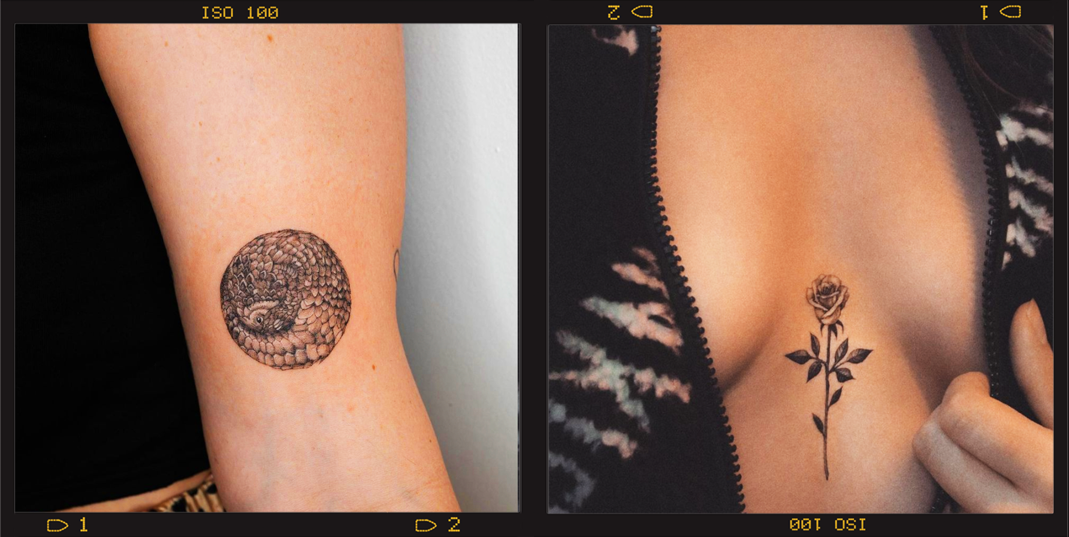 20 JawDropping Jewelry Tattoos As Designed By Celebrity Ink Master Ryan  Ashley  DeMilked