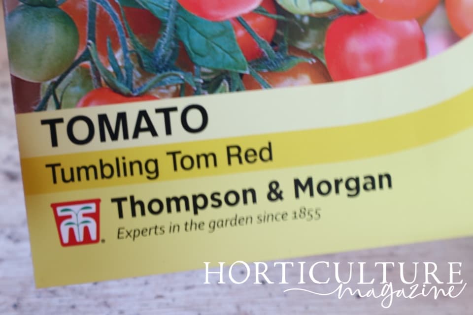 a packet of tumbling tom seeds from Thompson & Morgan