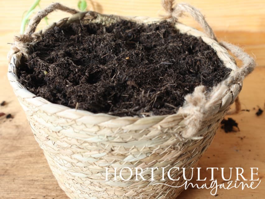 compost added to a wicker basket