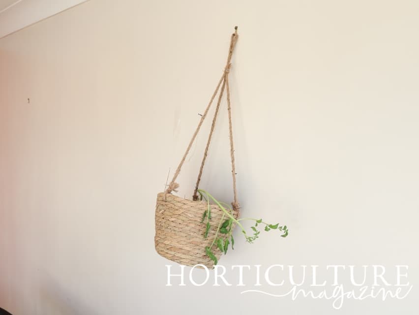 basket hung from the wall of a home