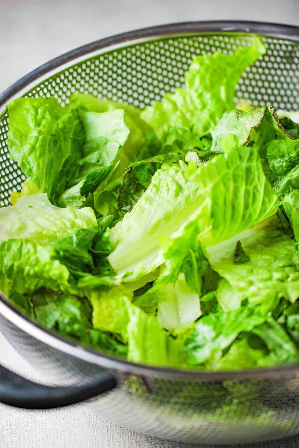 Torn pieces of lettuce in a colander for Caesar's salad