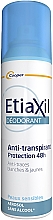 Antiperspirant-deodorant "Ochrana 48 hodin" Etiaxil Anti-Perspirant Deodorant Protection 48H Aerosol