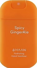 Käte desinfitseerija "Vürtsikas ingveri kuusk" HAAN Hydrating Hand Sanitizer Spicy Ginger Ale