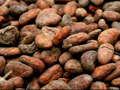 Cocoa powder importers fail to claim exemption