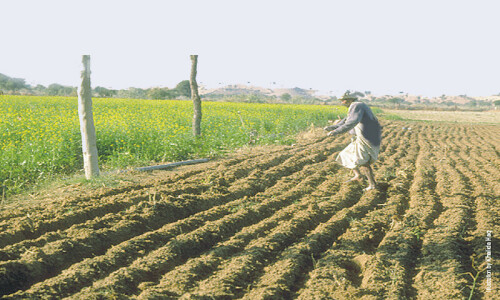 Agriculture: Bhal Safai — fixing water losses