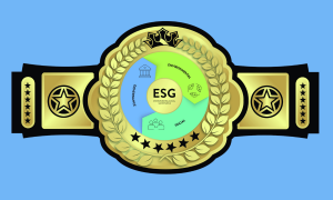 Is Pakistan Ready for the ESG Business Championships?