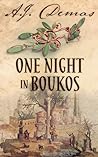 One Night in Boukos