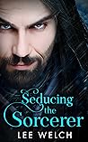 Seducing the Sorcerer by Lee  Welch