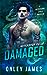 Damaged (Necessary Evils, #3.5)