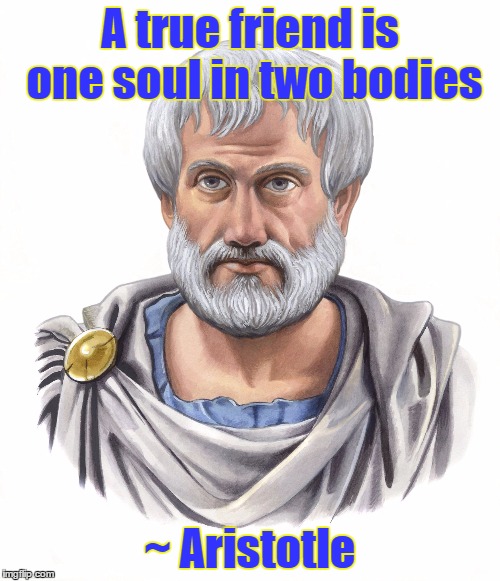 Aristotle | A true friend is one soul in two bodies ~ Aristotle | image tagged in aristotle,friendship,soul,body,friends | made w/ Imgflip meme maker