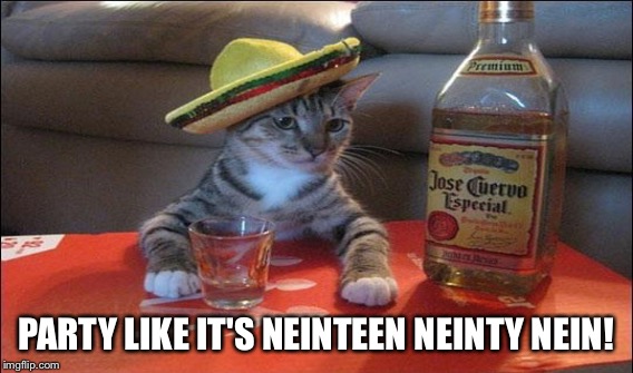 PARTY LIKE IT'S NEINTEEN NEINTY NEIN! | made w/ Imgflip meme maker