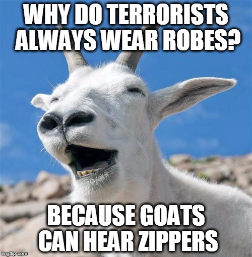 Zip Zip. | WHY DO TERRORISTS ALWAYS WEAR ROBES? BECAUSE GOATS CAN HEAR ZIPPERS | image tagged in memes,laughing goat | made w/ Imgflip meme maker