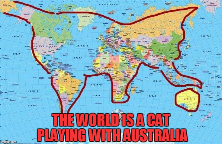 Fact | THE WORLD IS A CAT PLAYING WITH AUSTRALIA | image tagged in memes,cats,maps,geography,trhtimmy | made w/ Imgflip meme maker