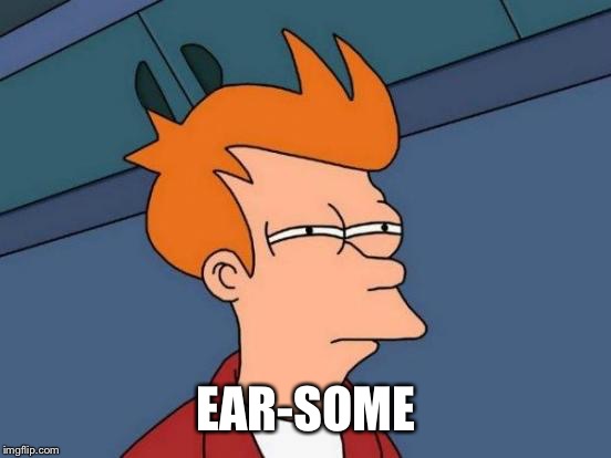 Futurama Fry Meme | EAR-SOME | image tagged in memes,futurama fry | made w/ Imgflip meme maker