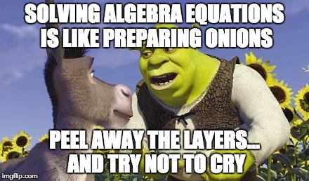 SHREK & ONIONS | SOLVING ALGEBRA EQUATIONS IS LIKE PREPARING ONIONS; PEEL AWAY THE LAYERS... AND TRY NOT TO CRY | image tagged in shrek  onions | made w/ Imgflip meme maker