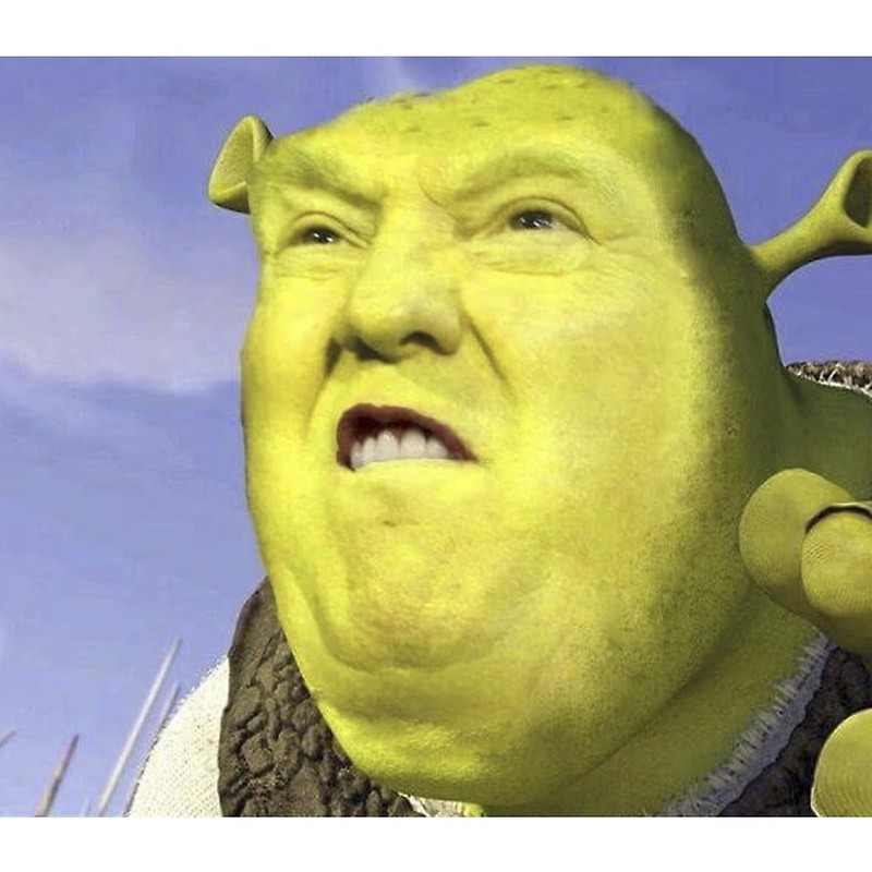 Shrek Meme Template - vrogue.co