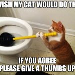 Cat plunging toilet | I WISH MY CAT WOULD DO THIS; IF YOU AGREE PLEASE GIVE A THUMBS UP | image tagged in cat plunging toilet | made w/ Imgflip meme maker