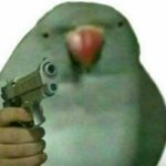 birb with gun template