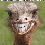 Meme Running Free | TFW YOU SEE ONE OF YOUR MEMES RUNNING FREE IN THE WILD. | image tagged in teeth ostrich emu funny smile | made w/ Imgflip meme maker