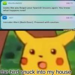 duolingo | the bird snuck into my house | image tagged in memes,surprised pikachu | made w/ Imgflip meme maker