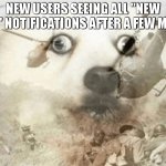 it happened to me a long time ago | NEW USERS SEEING ALL "NEW ICON" NOTIFICATIONS AFTER A FEW MEMES | image tagged in ptsd dog | made w/ Imgflip meme maker