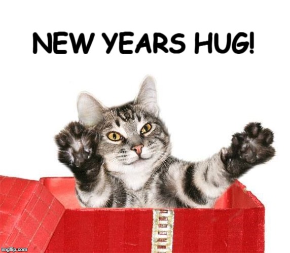 NEW YEARS HUG! | image tagged in happy new year,cat,kitty,hug | made w/ Imgflip meme maker