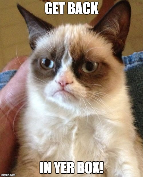 Grumpy Cat Meme | GET BACK IN YER BOX! | image tagged in memes,grumpy cat | made w/ Imgflip meme maker