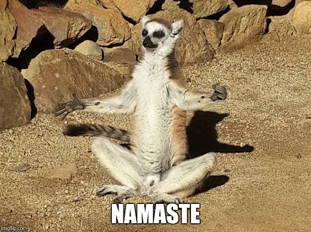 Namaste
 | NAMASTE | image tagged in peace,namaste,funny lemur | made w/ Imgflip meme maker