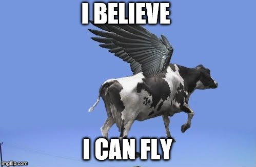 I BELIEVE; I CAN FLY | image tagged in flying | made w/ Imgflip meme maker