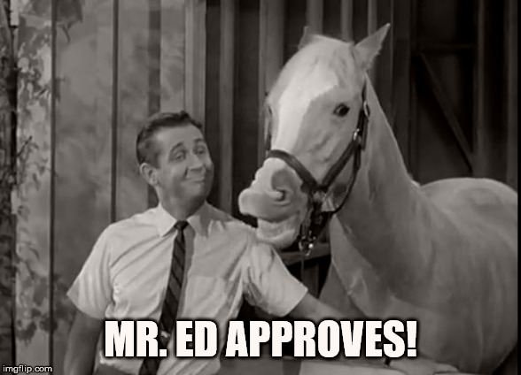 Mr Ed Speaks | MR. ED APPROVES! | image tagged in mr ed speaks | made w/ Imgflip meme maker