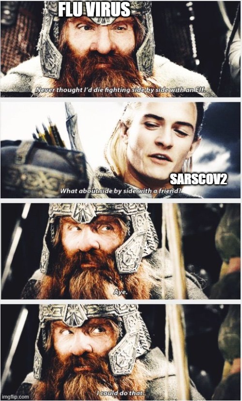 Covid & Flu BFFs | FLU VIRUS; SARSCOV2 | image tagged in covid-19,flu,legolas,gimli,friendship | made w/ Imgflip meme maker