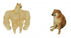 Buff Doge vs Crying Cheems Meme Template