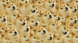 Multi Doge Meme Template