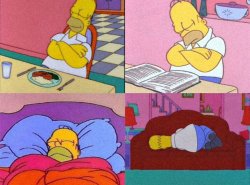 homer sleep Meme Template