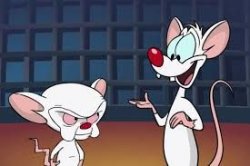 Pinky and the Brain Meme Template