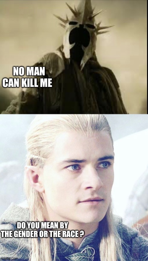 I am bad at making titles | NO MAN CAN KILL ME; DO YOU MEAN BY THE GENDER OR THE RACE ? | image tagged in lord of the rings,legolas,return of the king | made w/ Imgflip meme maker