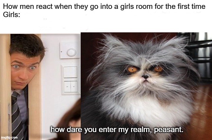 How men react when they go into a girls room for the first time
Girls:; how dare you enter my realm, peasant. | image tagged in cats | made w/ Imgflip meme maker