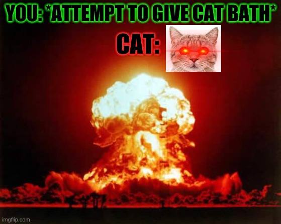 Giving cats baths | CAT:; YOU: *ATTEMPT TO GIVE CAT BATH* | image tagged in memes,nuclear explosion,cat,cats,scumbag cat | made w/ Imgflip meme maker