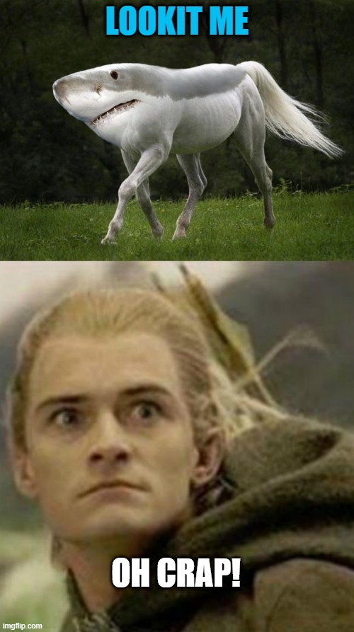 LOOKIT ME; OH CRAP! | image tagged in legolas,horse shark | made w/ Imgflip meme maker