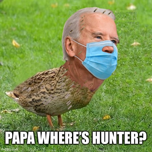 He Go ByeBye? | PAPA WHERE’S HUNTER? | image tagged in joe bidenduck | made w/ Imgflip meme maker