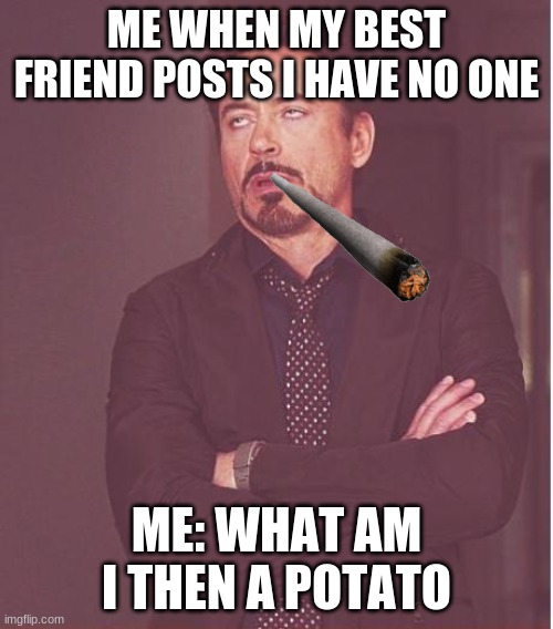 me when... | ME WHEN MY BEST FRIEND POSTS I HAVE NO ONE; ME: WHAT AM I THEN A POTATO | image tagged in memes,face you make robert downey jr | made w/ Imgflip meme maker