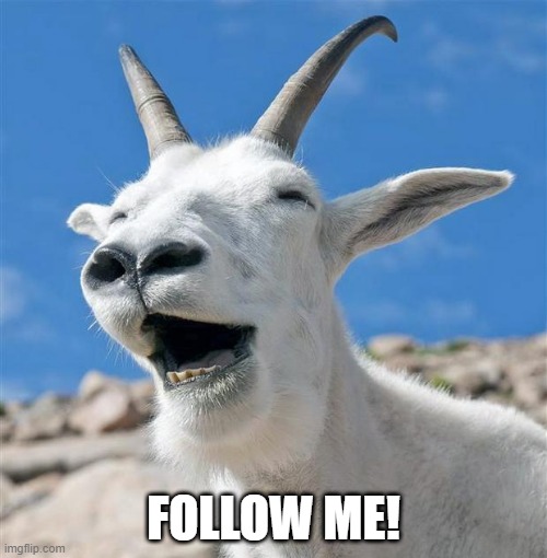 Judas Goat | FOLLOW ME! | image tagged in memes,laughing goat,judas goat,discworld,feet of clay,yudas goat | made w/ Imgflip meme maker